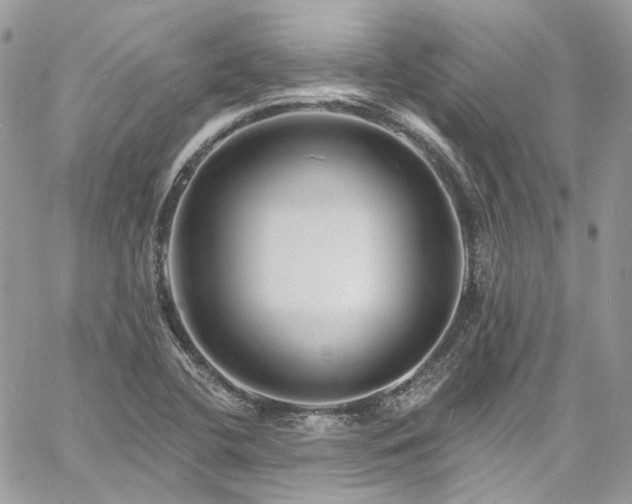 X0000060791412200511171256