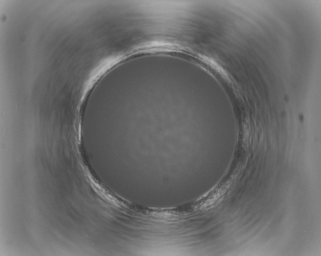 X0000060791413200511171256