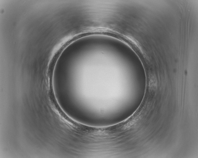 X0000060791414200511171256