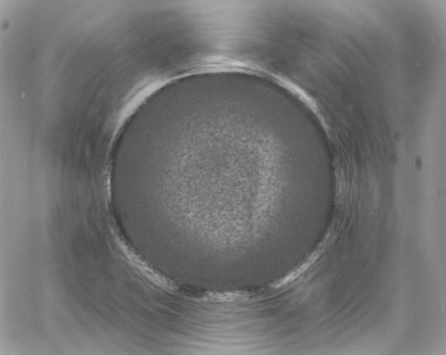 X0000060791415200511171256