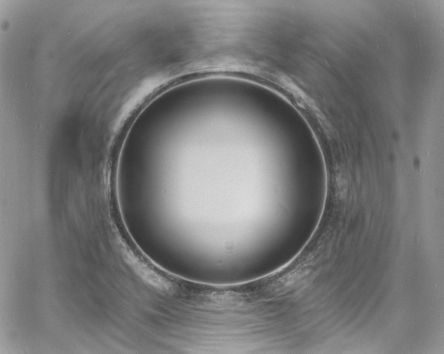 X0000060791416200511171256