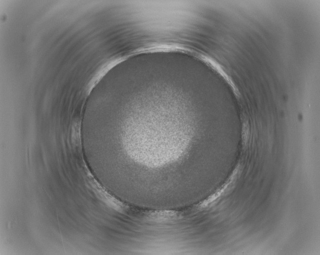 X0000060791417200511171256