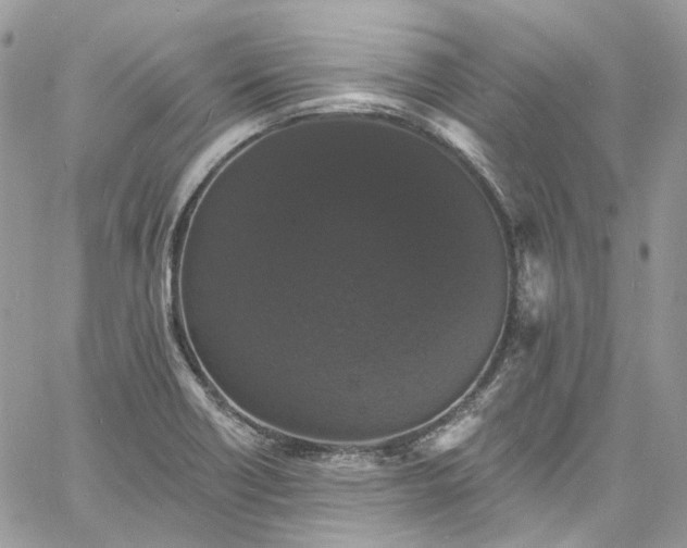 X0000060791418200511171256