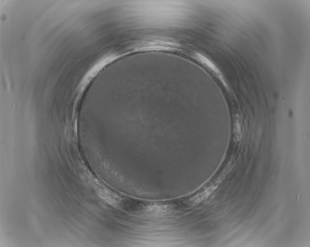 X0000060791419200511171257