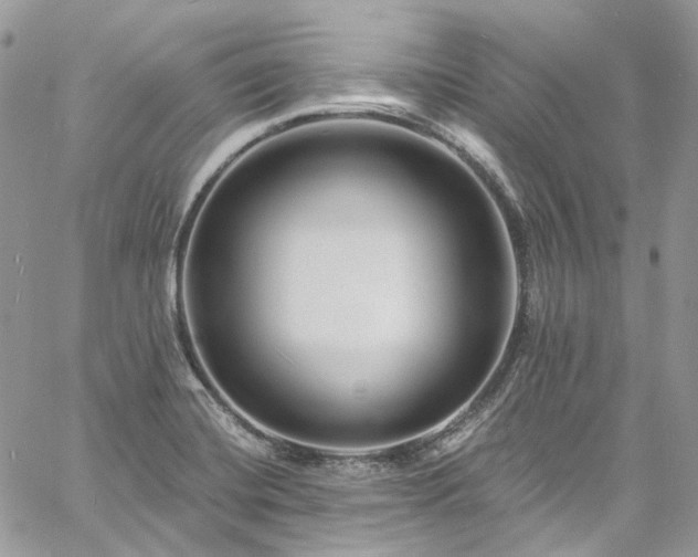 X0000060791420200511171257