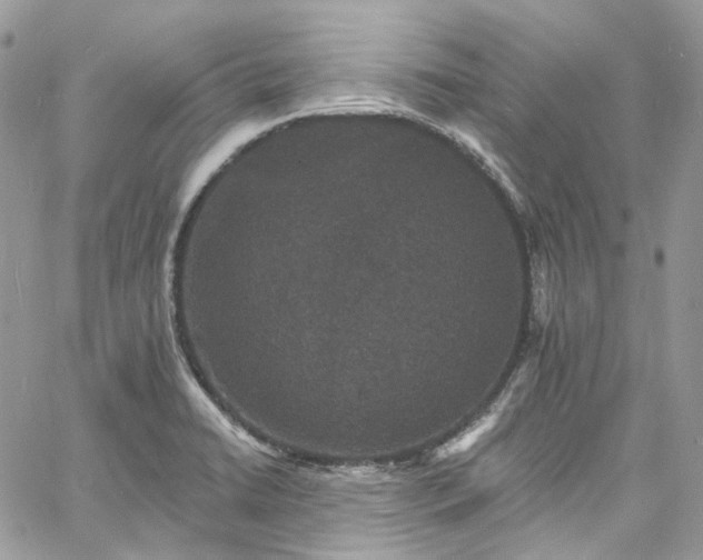 X0000060791422200511171257