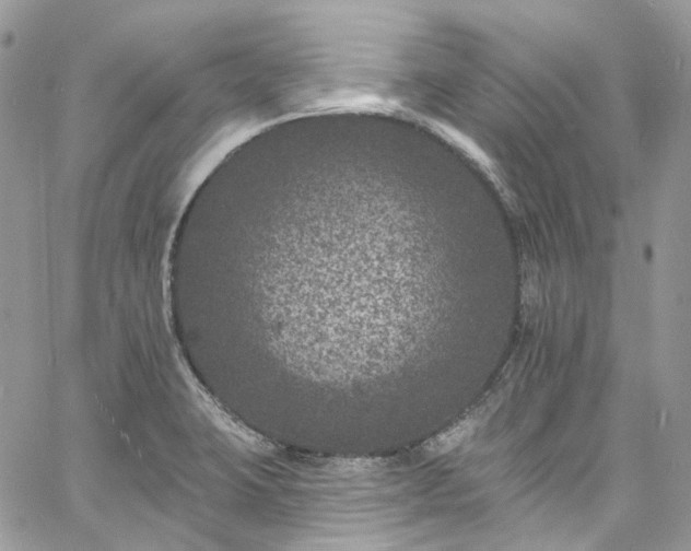 X0000060791423200511171257