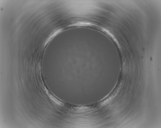 X0000060791425200511171257