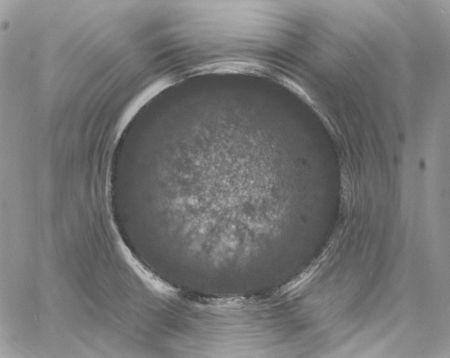 X0000060791426200511171257