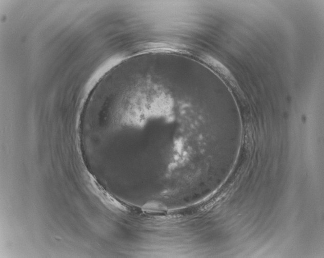 X0000060791427200511171257