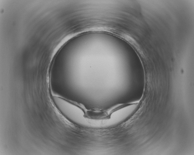 X0000060791428200511171257