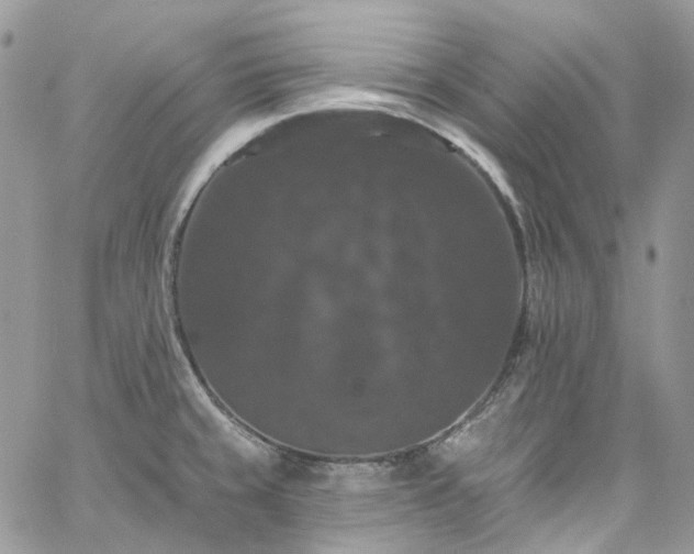 X0000060791429200511171257