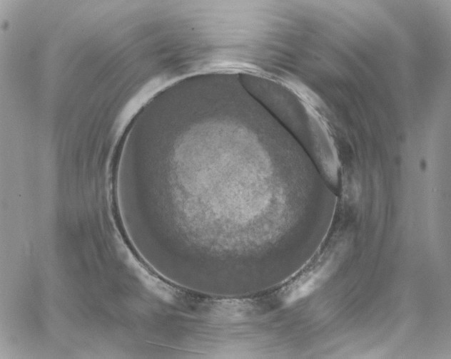 X0000060791430200511171257