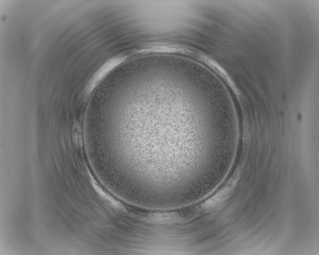 X0000060791433200511171257