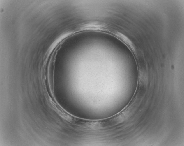 X0000060791435200511171257