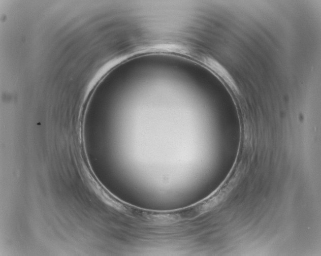 X0000060791436200511171257