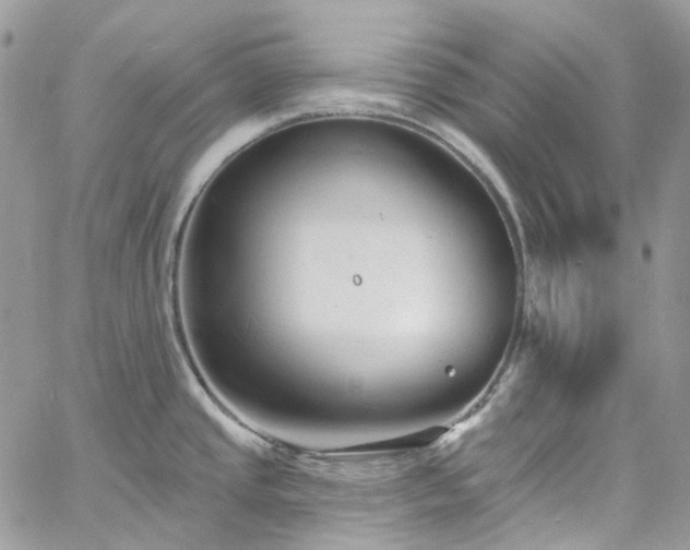 X0000060791437200511171257