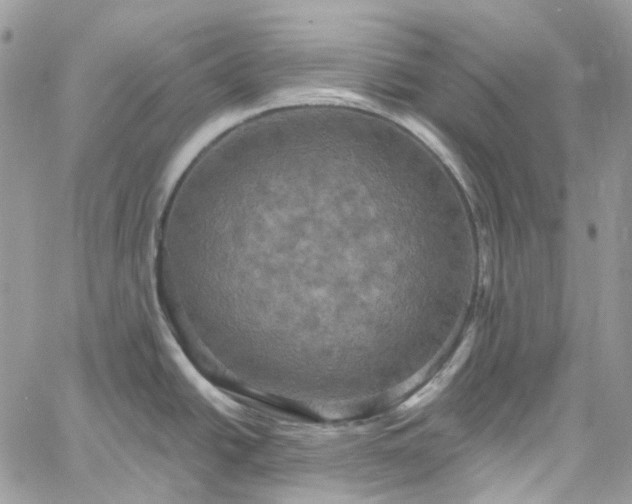 X0000060791438200511171257