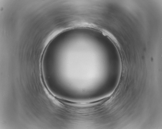 X0000060791439200511171257