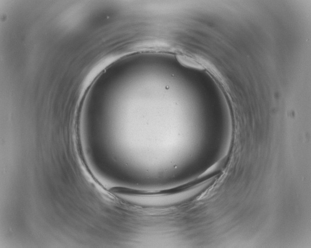 X0000060791440200511171257