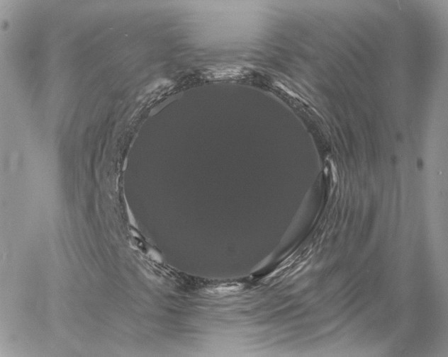 X0000060791441200511171256