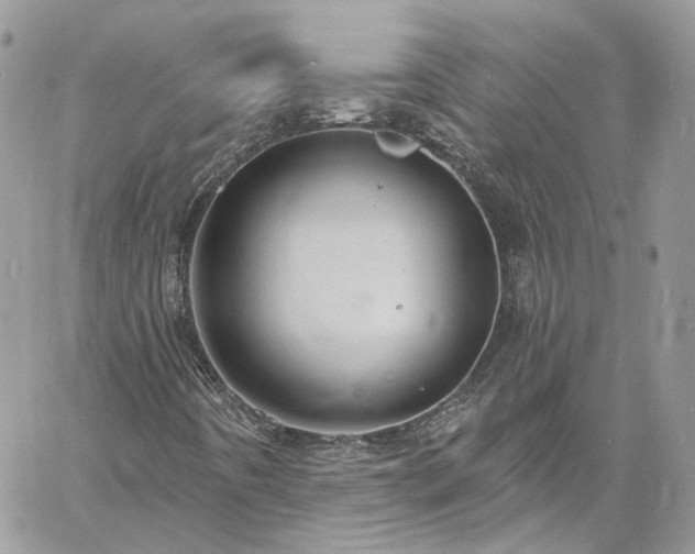 X0000060791442200511171256