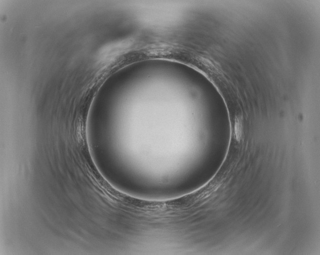 X0000060791444200511171256