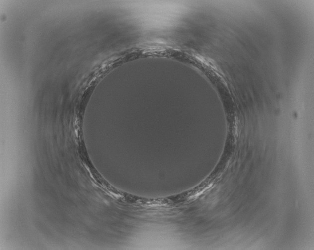 X0000060791445200511171256