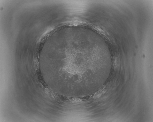 X0000060791446200511171256