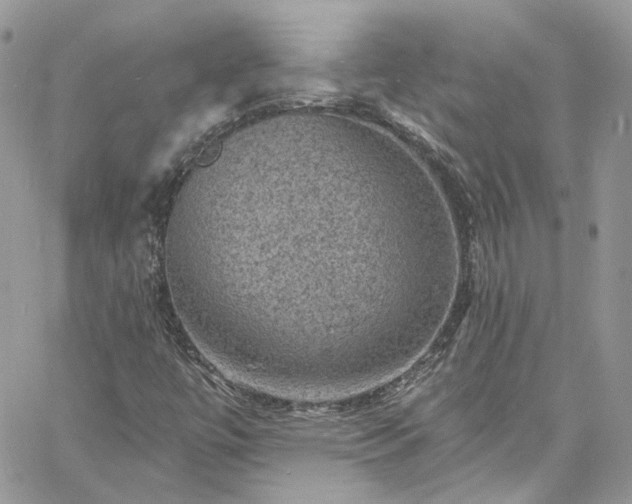 X0000060791447200511171256