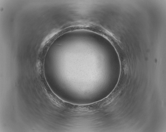 X0000060791448200511171256