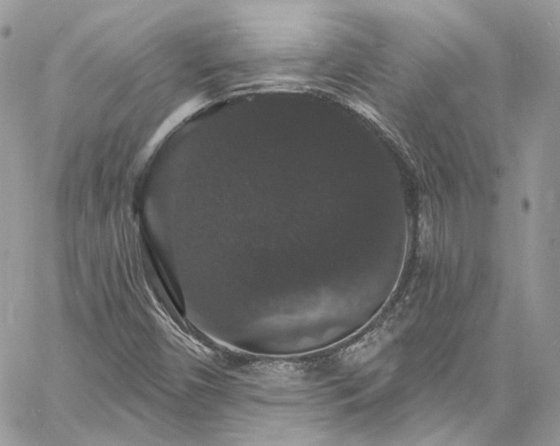 X0000060791450200511171256