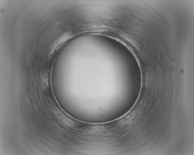 X0000060791451200511171256