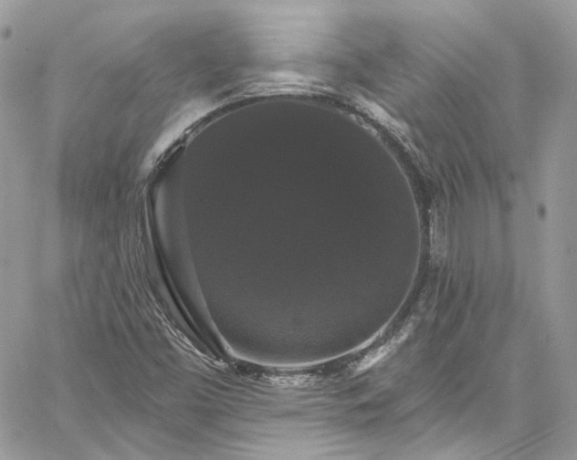 X0000060791453200511171256