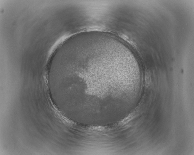 X0000060791454200511171256