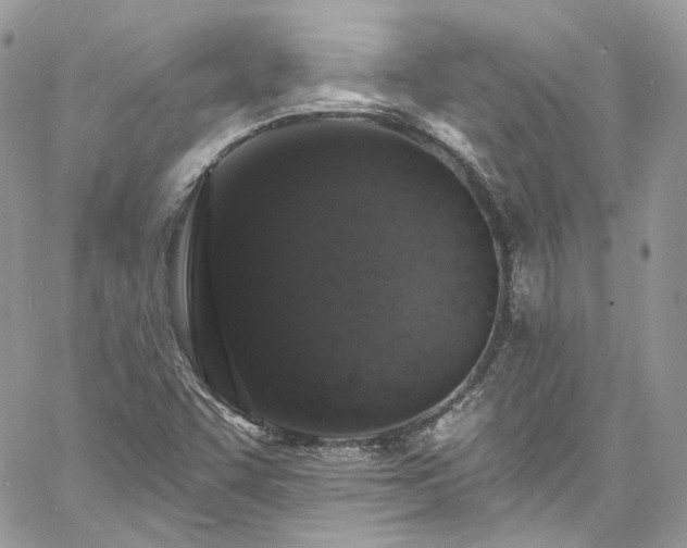 X0000060791455200511171256