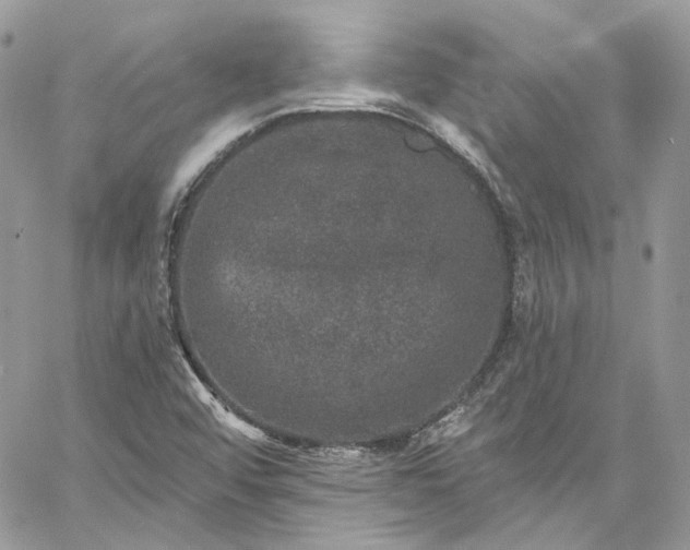 X0000060791456200511171256