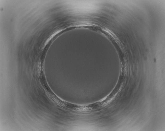 X0000060791457200511171256