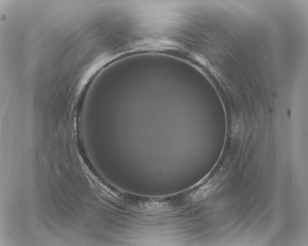 X0000060791459200511171256