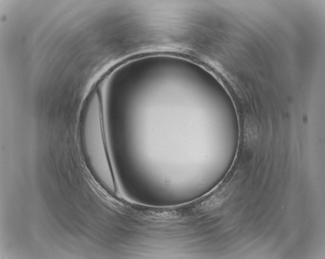 X0000060791460200511171256