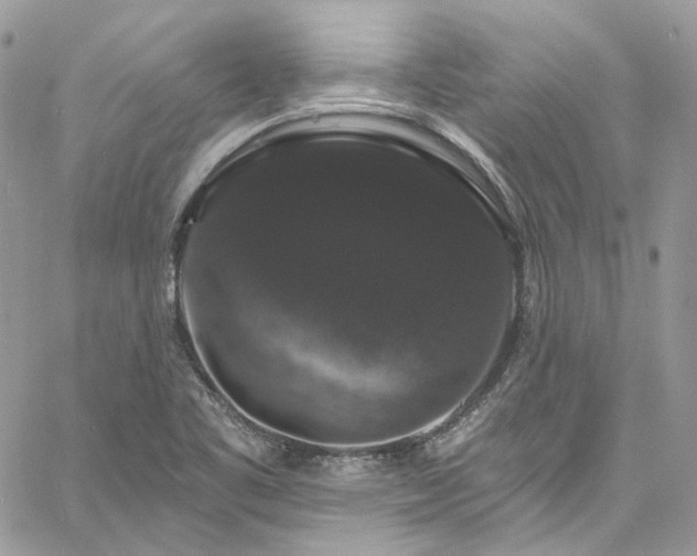 X0000060791461200511171256