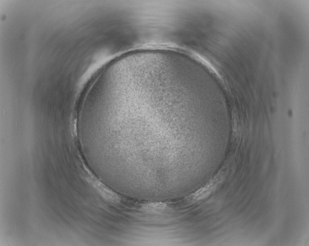 X0000060791462200511171256