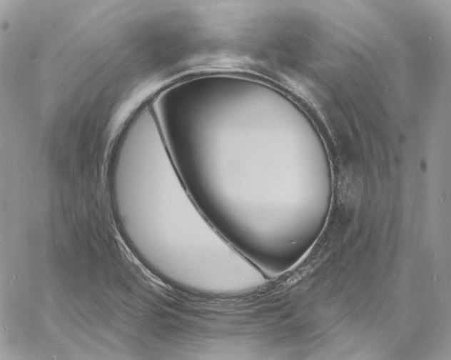 X0000060791464200511171256