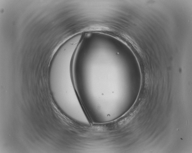 X0000060791465200511171256