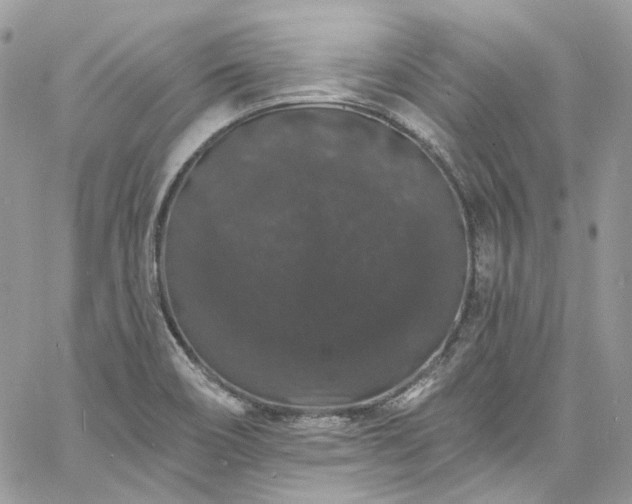 X0000060791466200511171256