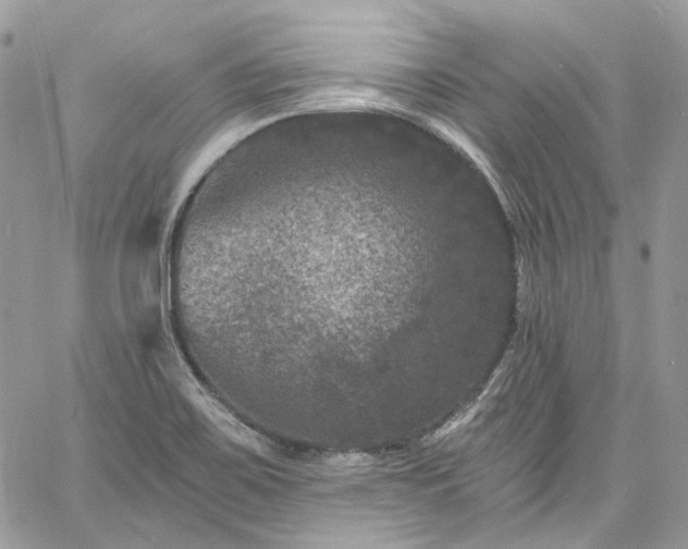 X0000060791467200511171256