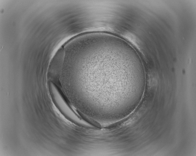 X0000060791468200511171256