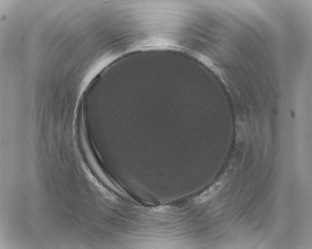 X0000060791469200511171256