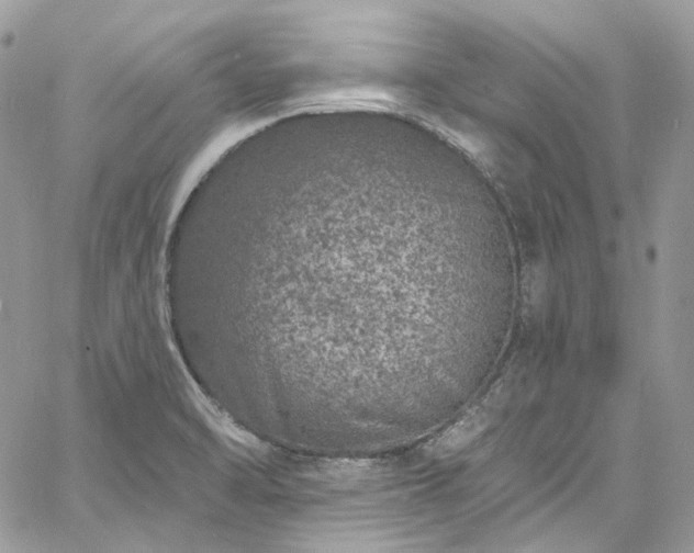 X0000060791470200511171256