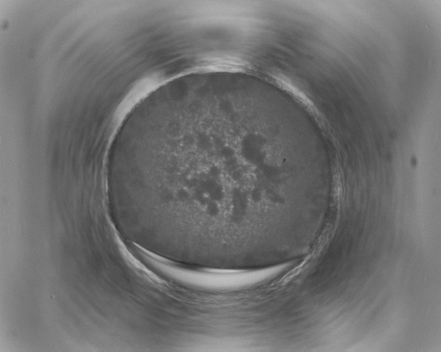 X0000060791471200511171256